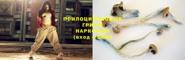 прущая мука Ельня