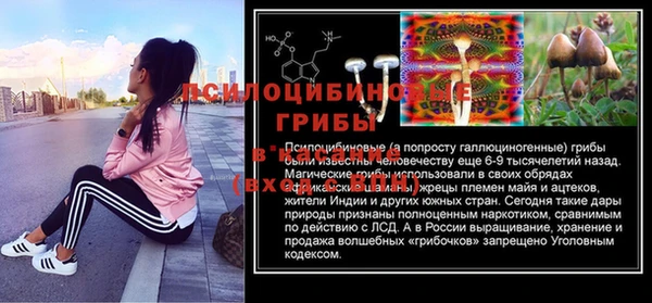прущая мука Ельня