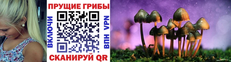 Купить закладки  Новодвинск  Псилоцибиновые грибы мухоморы 